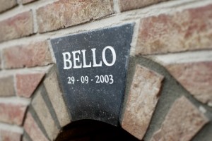 Een mooie steen voor Bello.